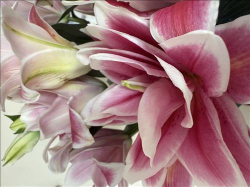 hẹn hò - Tú Ân-Gay -Age:33 - Single-Hà Nội-Lover - Best dating website, dating with vietnamese person, finding girlfriend, boyfriend.