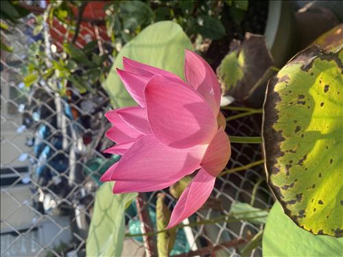 hẹn hò - vũ -Gay -Age:37 - Single-TP Hồ Chí Minh-Lover - Best dating website, dating with vietnamese person, finding girlfriend, boyfriend.