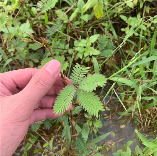 hẹn hò - Lonely Soul-Male -Age:40 - Divorce-Hà Nội-Confidential Friend - Best dating website, dating with vietnamese person, finding girlfriend, boyfriend.