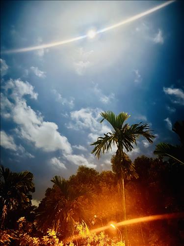 hẹn hò - Victoria-Lesbian -Age:34 - Single-TP Hồ Chí Minh-Lover - Best dating website, dating with vietnamese person, finding girlfriend, boyfriend.