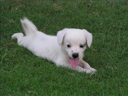 hẹn hò - Lương-Nam -Tuổi:35 - Độc thân-TP Hồ Chí Minh-Người yêu lâu dài