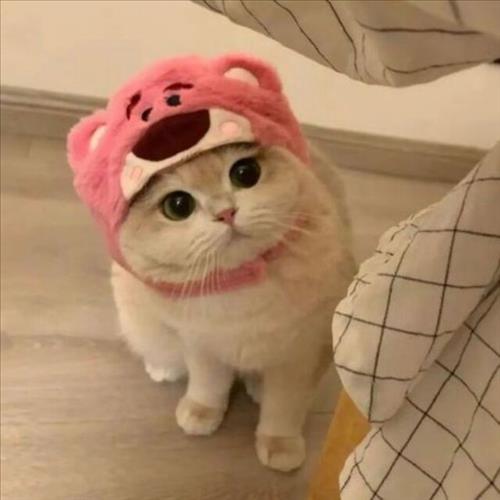 hẹn hò - Hidetoshi-Male -Age:29 - Single-TP Hồ Chí Minh-Short Term - Best dating website, dating with vietnamese person, finding girlfriend, boyfriend.