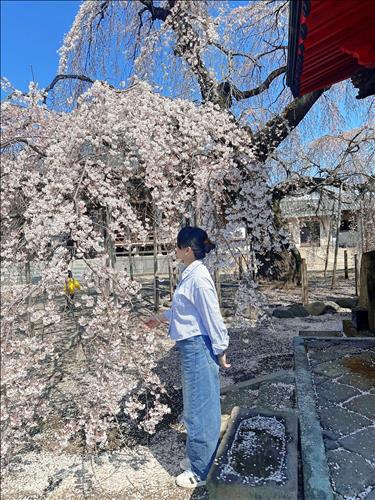 hẹn hò - Trinh Ngô-Lesbian -Age:28 - Single-TP Hồ Chí Minh-Friend - Best dating website, dating with vietnamese person, finding girlfriend, boyfriend.