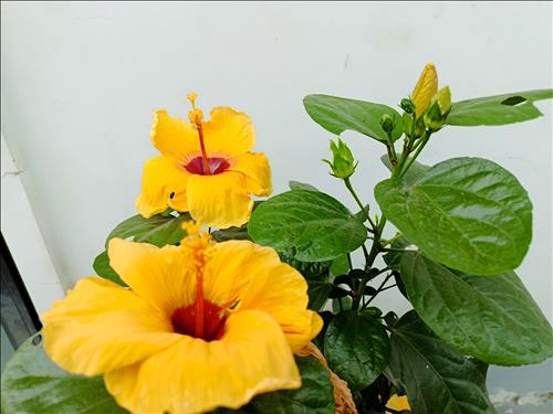 hẹn hò - Dong Phạm trọng-Nam -Tuổi:38 - Đã có gia đình-TP Hồ Chí Minh-Người yêu ngắn hạn