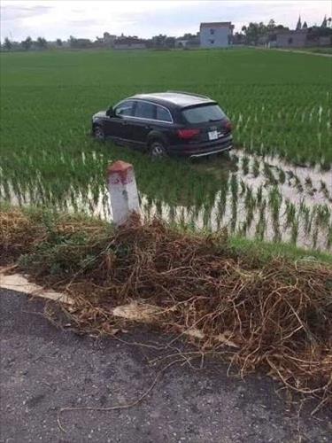 hẹn hò - Xuân Son-Male -Age:36 - Single-TP Hồ Chí Minh-Short Term - Best dating website, dating with vietnamese person, finding girlfriend, boyfriend.