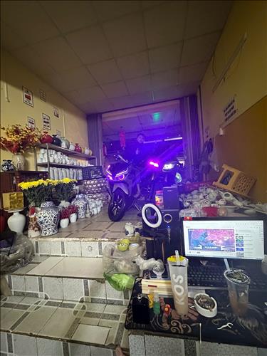 hẹn hò - Nguyên Bảo-Nam -Tuổi:27 - Độc thân-Gia Lai-Người yêu lâu dài