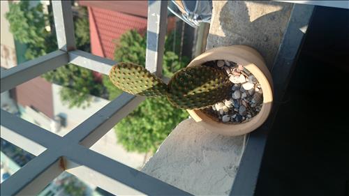 hẹn hò -  Quang Vin-Male -Age:30 - Divorce-TP Hồ Chí Minh-Lover - Best dating website, dating with vietnamese person, finding girlfriend, boyfriend.