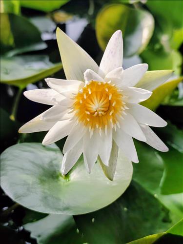 Cần lắm !!!!!!!!! 