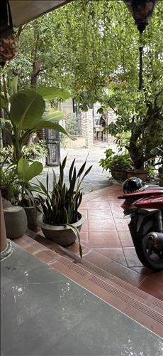 hẹn hò - Justin Feerin-Nam -Tuổi:18 - Độc thân-TP Hồ Chí Minh-Người yêu lâu dài