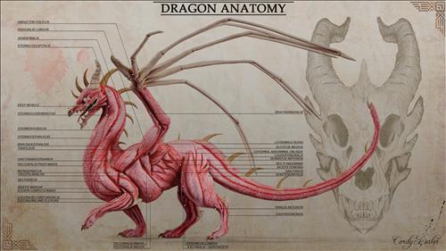 hẹn hò - Zan only you-Nam -Tuổi:26 - Độc thân-Hà Nội-Tìm bạn bè mới