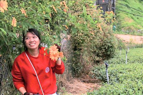 hẹn hò - pho linh mai thi-Nữ -Tuổi:34 - Độc thân-Bến Tre-Người yêu lâu dài