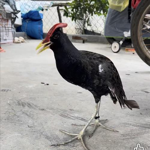 hẹn hò - Phát-Male -Age:52 - Divorce-Hà Nội-Confidential Friend - Best dating website, dating with vietnamese person, finding girlfriend, boyfriend.