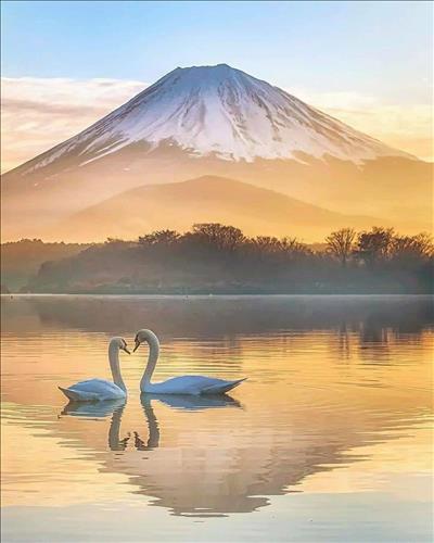 hẹn hò - Trịnh Sơn Lâm-Male -Age:35 - Single-TP Hồ Chí Minh-Confidential Friend - Best dating website, dating with vietnamese person, finding girlfriend, boyfriend.