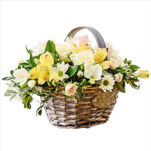 hẹn hò - Ngọc -Nam -Tuổi:58 - Độc thân-Hà Nội-Người yêu lâu dài