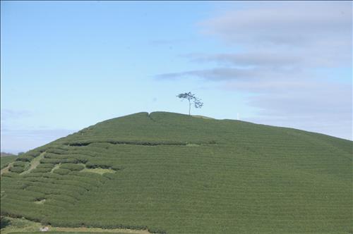 hẹn hò - HUY NGUYEN QUANG-Male -Age:48 - Divorce-Hà Nội-Lover - Best dating website, dating with vietnamese person, finding girlfriend, boyfriend.