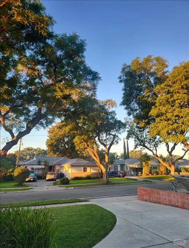 hẹn hò -  Bo Cong Anh -Nữ -Tuổi:40 - Độc thân--Người yêu lâu dài