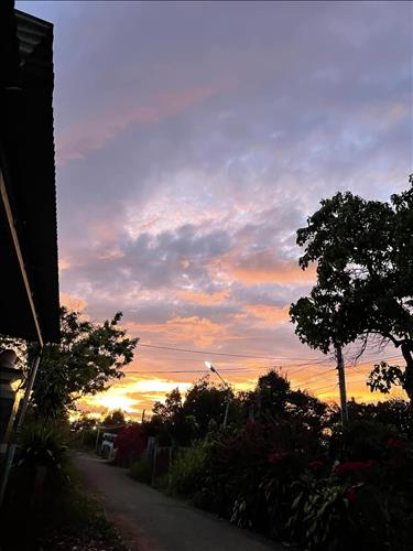 hẹn hò - Nguyễn Hiền -Lesbian -Age:34 - Single-Khánh Hòa-Lover - Best dating website, dating with vietnamese person, finding girlfriend, boyfriend.