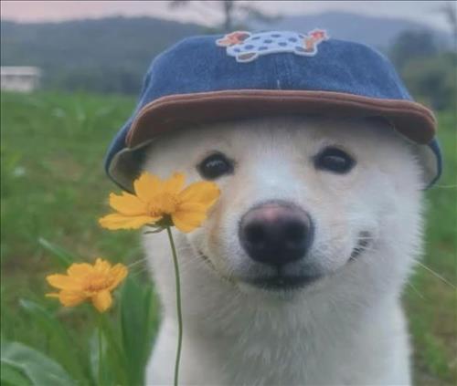 hẹn hò - Trai ngoan-Nam -Tuổi:27 - Đã có gia đình-TP Hồ Chí Minh-Người yêu ngắn hạn