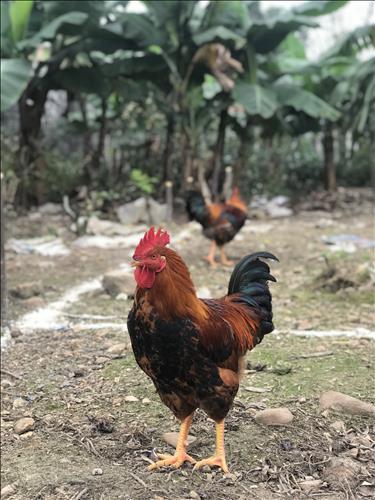 hẹn hò - Canvass-Male -Age:32 - Single-TP Hồ Chí Minh-Short Term - Best dating website, dating with vietnamese person, finding girlfriend, boyfriend.