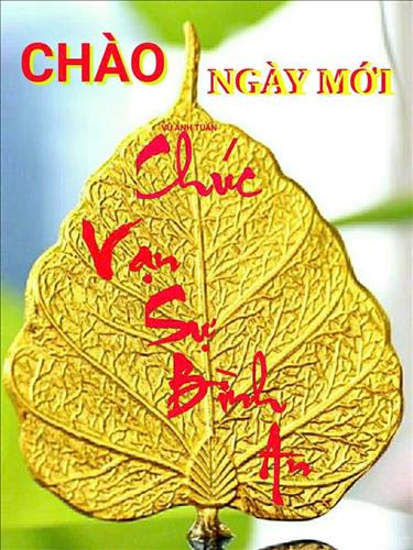 hẹn hò - Minh-Nam -Tuổi:55 - Độc thân-TP Hồ Chí Minh-Người yêu lâu dài