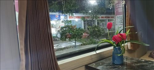 hẹn hò - Bi Nguyen-Male -Age:47 - Single-TP Hồ Chí Minh-Short Term - Best dating website, dating with vietnamese person, finding girlfriend, boyfriend.