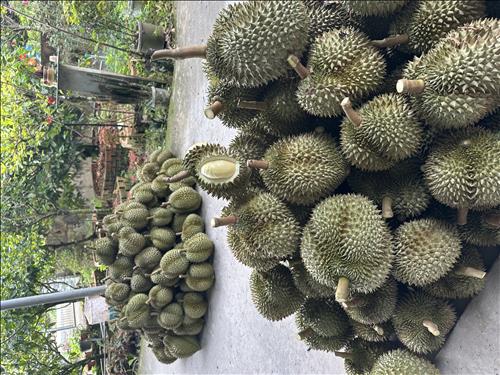 hẹn hò - Phú Nguyễn-Male -Age:18 - Single--Lover - Best dating website, dating with vietnamese person, finding girlfriend, boyfriend.