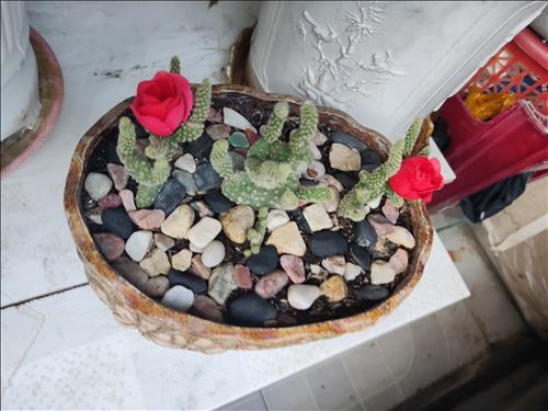 hẹn hò - Chân Thành-Male -Age:36 - Single-TP Hồ Chí Minh-Lover - Best dating website, dating with vietnamese person, finding girlfriend, boyfriend.