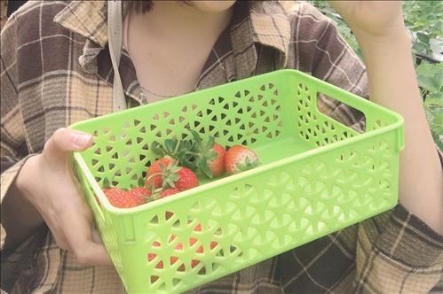 hẹn hò - Quỳnh Anh-Nữ -Tuổi:25 - Độc thân-Đà Nẵng-Người yêu ngắn hạn