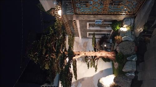 hẹn hò - Bình An-Nam -Tuổi:45 - Ly dị-TP Hồ Chí Minh-Tìm bạn bè mới