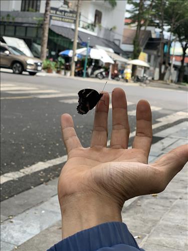 hẹn hò - Duc trong-Nam -Tuổi:30 - Độc thân-Bình Phước-Người yêu lâu dài