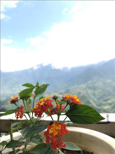 hẹn hò - Elis-Lady -Age:29 - Divorce-Hà Nội-Lover - Best dating website, dating with vietnamese person, finding girlfriend, boyfriend.