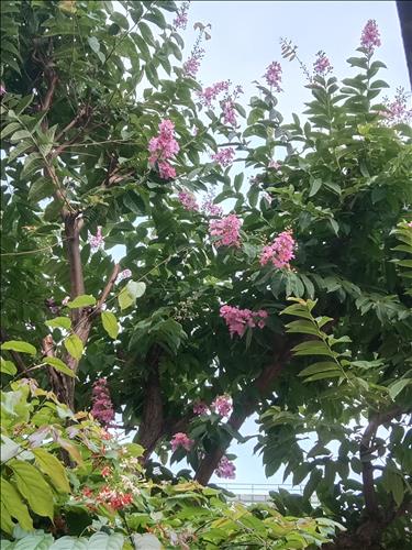 hẹn hò - Nắng Mưa Thất Thường!-Nam -Tuổi:40 - Độc thân-TP Hồ Chí Minh-Tìm bạn bè mới