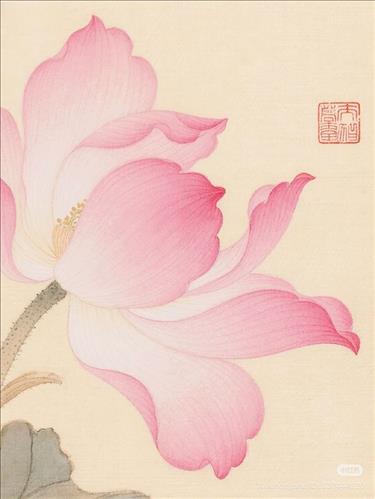 hẹn hò - Viet Hung-Nam -Tuổi:47 - Độc thân-Hà Nội-Người yêu lâu dài