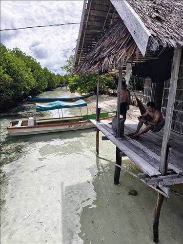 Gay tìm Les cưới vợ