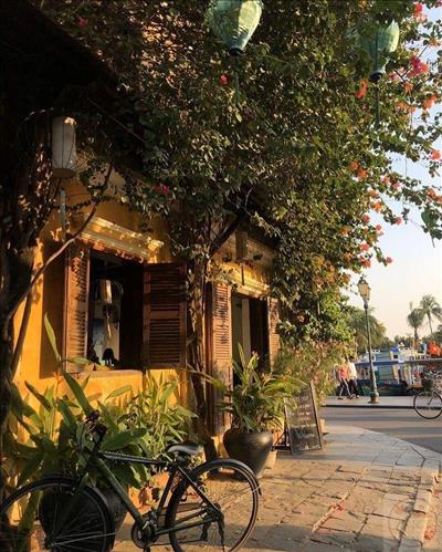 hẹn hò - Autumn-Nữ -Tuổi:42 - Đã có gia đình-Hải Phòng-Tìm bạn bè mới