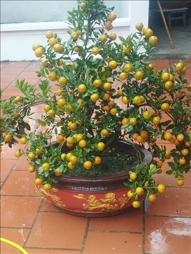 hẹn hò - Minh Nguyễn-Male -Age:40 - Divorce-Hà Nội-Confidential Friend - Best dating website, dating with vietnamese person, finding girlfriend, boyfriend.