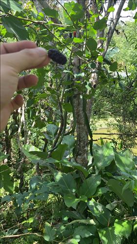 hẹn hò - Hào Hào-Nam -Tuổi:25 - Độc thân-Bắc Ninh-Tìm bạn tâm sự