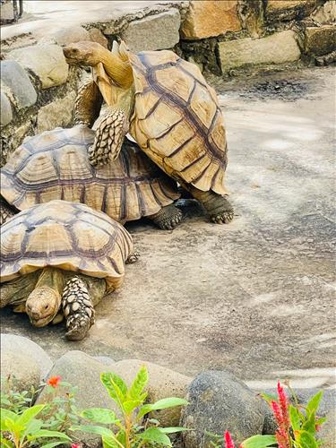 hẹn hò - nam lê-Nam -Tuổi:38 - Độc thân-Bình Thuận-Tìm bạn tâm sự