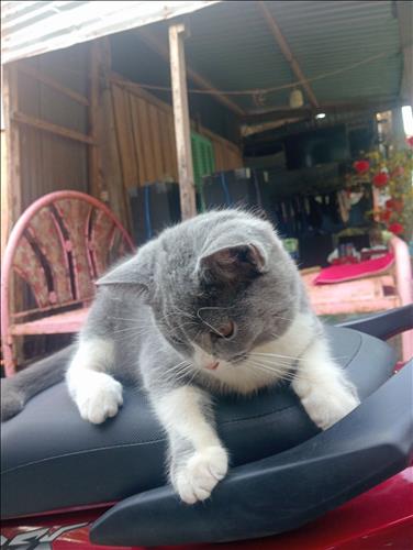 hẹn hò - Dũng -Male -Age:27 - Single--Lover - Best dating website, dating with vietnamese person, finding girlfriend, boyfriend.