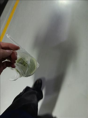 hẹn hò - Gấu Việt-Nam -Tuổi:22 - Độc thân-Lào Cai-Tìm bạn tâm sự