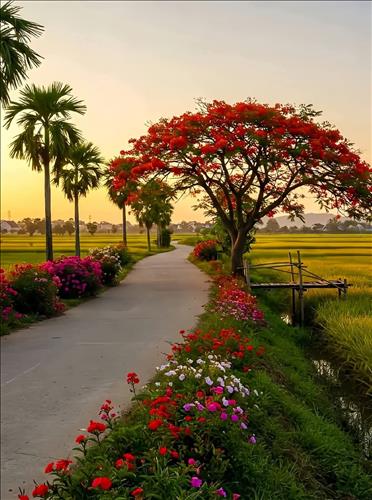 hẹn hò - TÌM NGƯỜI HẸN HÒ.-Nam -Tuổi:44 - Đã có gia đình-TP Hồ Chí Minh-Người yêu lâu dài