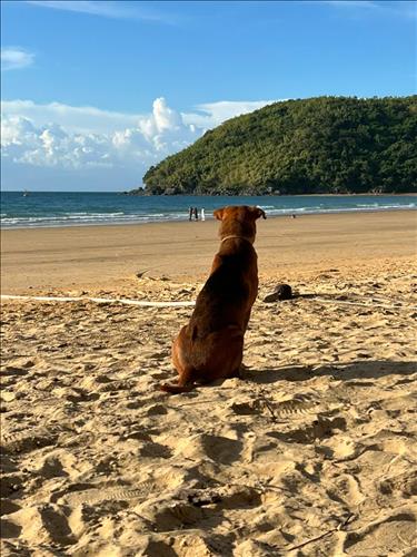 hẹn hò - Cu_Tũn-Nam -Tuổi:48 - Ly dị-Hà Nội-Người yêu lâu dài