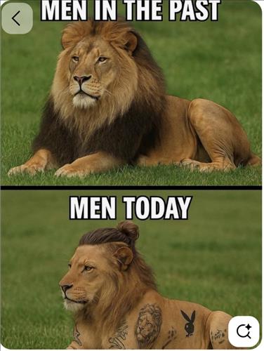 hẹn hò - Minh Long-Nam -Tuổi:50 - Đã có gia đình-TP Hồ Chí Minh-Tìm bạn bè mới