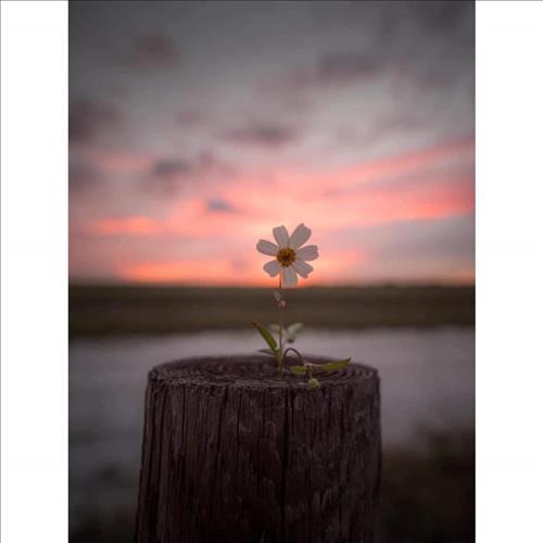 hẹn hò - An -Les -Tuổi:30 - Độc thân-TP Hồ Chí Minh-Người yêu lâu dài