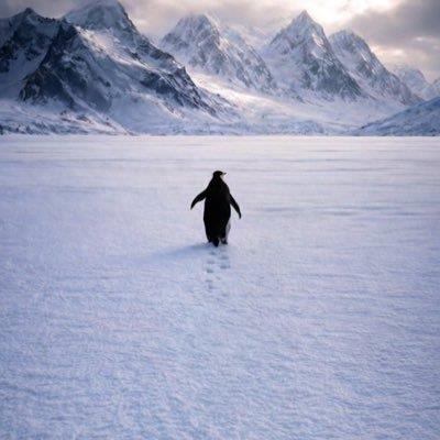 ĐÊM THÀNH PHỐ ĐẦY SAO