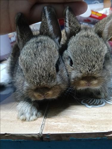 hẹn hò - Trai miền trung-Nam -Tuổi:35 - Độc thân-TP Hồ Chí Minh-Người yêu lâu dài