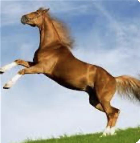 hẹn hò - Trao đổi tình tiền -Nữ -Tuổi:30 - Độc thân-TP Hồ Chí Minh-Người yêu lâu dài