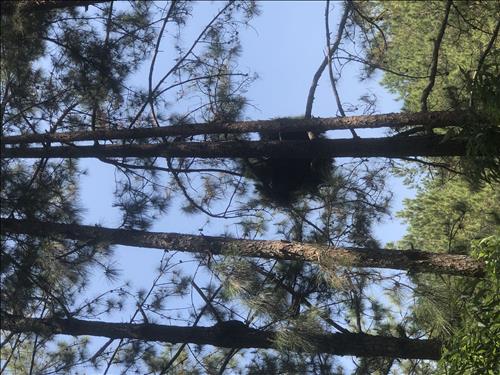 hẹn hò - Nguyễn Đạt-Nam -Tuổi:18 - Độc thân-Đồng Nai-Người yêu ngắn hạn