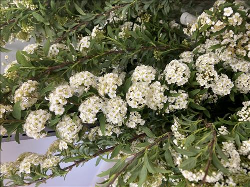 hẹn hò - Thien Minh-Male -Age:35 - Divorce-TP Hồ Chí Minh-Lover - Best dating website, dating with vietnamese person, finding girlfriend, boyfriend.