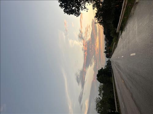 hẹn hò - Hương Anh-Nam -Tuổi:29 - Độc thân-Hà Tĩnh-Người yêu lâu dài